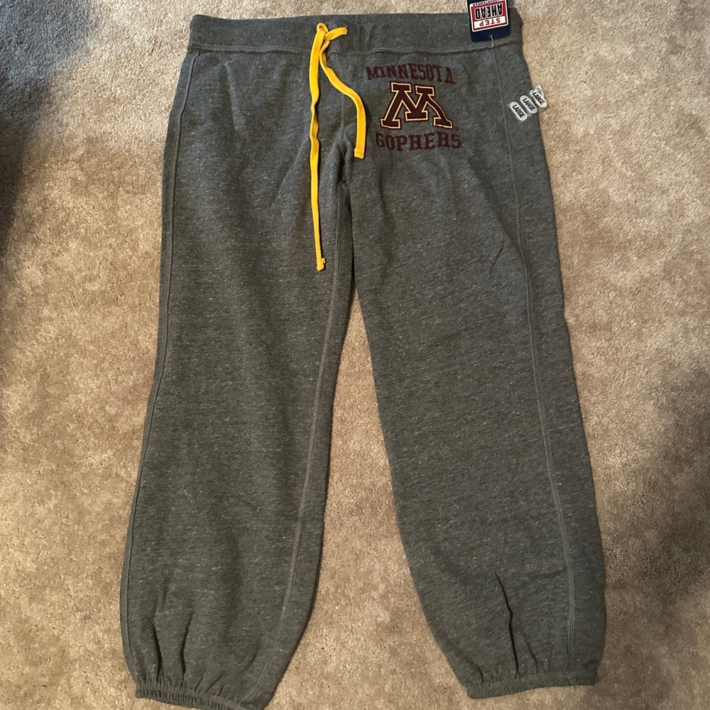 Women’s grey joggers Minnesota Golden Gophers Size L NWT